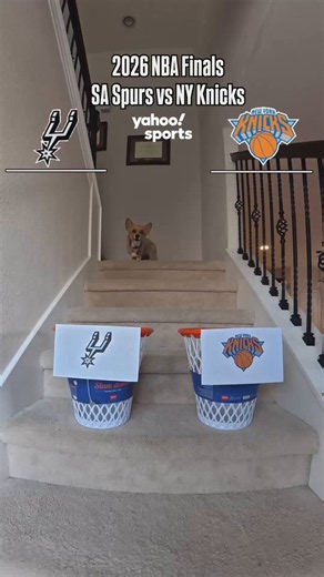 THE PREDICTION WE’VE ALL BEEN WAITING FOR 🔮Air Corgi shares her pick to win the 2026 NBA Finals 🏀🏆