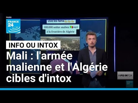 Crise au Mali : l'armée malienne et l'Algérie cibles d'intox • FRANCE 24