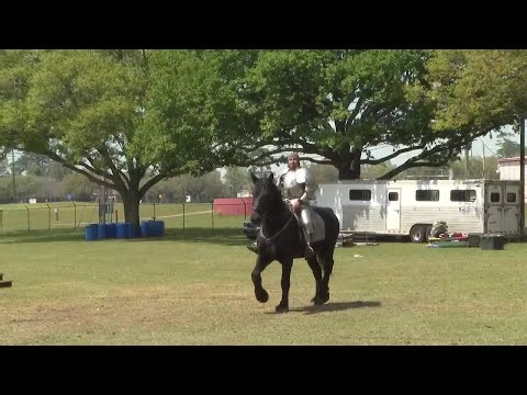 North Florida Fairgrounds transformed for Renaissance Faire this weekend