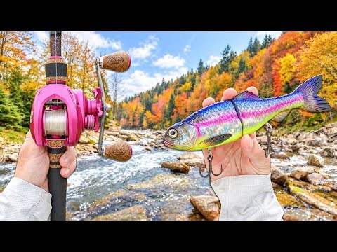 Fishing The FALL TRANSITION For BIG Bass!