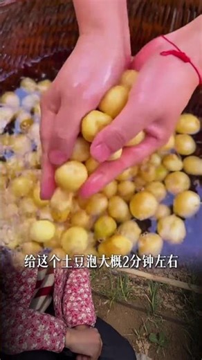 Why Sprouted Potatoes Are a No-Go: A Grower's Secret