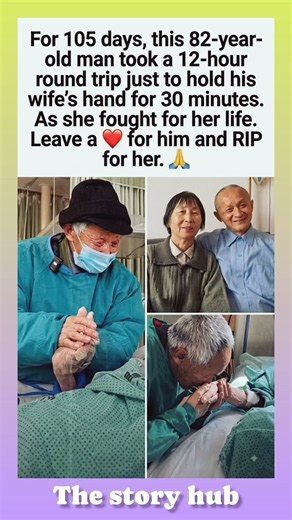 82-Year-Old Husband’s Daily Journey for Love #Devotion #TrueLove #Sacrifice #ViralShorts