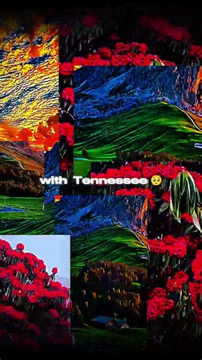 Ella Langley - Choosin' Texas (lyrics) #lofigirl #englishsongs #lyrics #lyricvideo #aesthetic