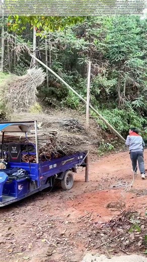 Leveraging Lumber: The Cross-Pole Crane That Moves Heavy Loads by Hand