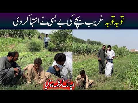 achanak kudrat ka karishma ho gaya - How ? | Rahe Insaniyat| Aao Madad Karen| tour and taste