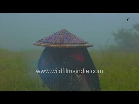Herdsman smokes on a rainy monsoon day in Cherrapunji, Meghalaya, a wide brimmed hat on his head