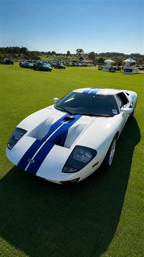 Rare supercars fill this exclusive car show