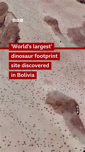 The “world’s largest” dinosaur footprint site has been discovered in Bolivia's Toro Toro National Park. 🎧 How are we still finding new dinosaurs? https://bbc.in/4pwNZ4L | BBC World Service
