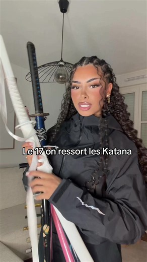 Le 17 octobre on ressort les katana — gilet jaunes, collection de sabres