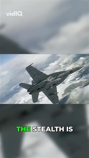 The F-117: As Invisible as a Small Bird to Radar! #aviation #avgeek #fighterjet