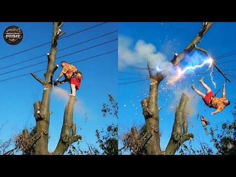 Idiots With Chainsaws: Tree Cutting Fails | Extreme Dangerous Logging Truck Fails #1