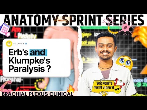 2️⃣ERB'S AND KLUMPKE'S PARALYSIS🚀| Brachial Plexus Clinical | Upper Limb Anatomy▶️| 3D Anatomy