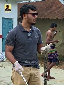 ড্রাইবাইটে ওঝার কেরামতি #snake #wildliferescue #cobra #snakerescue #awareness #shorts #saveanimals
