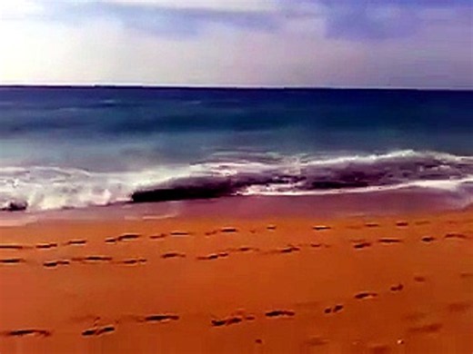 Albufeira 2016 02 04 10 57 20 v8kch2lGG5c 540p [YxpSxmU8qCk]