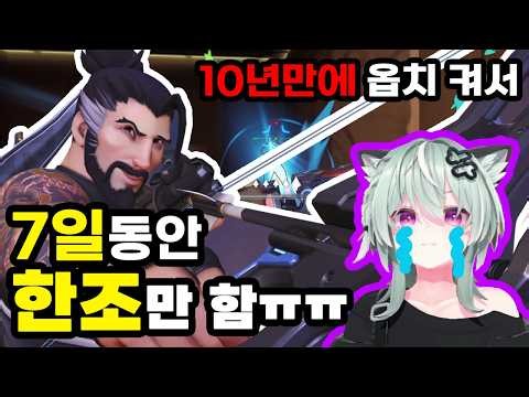 10년 만에 돌아온 뉴비가 한조만 7일 동안 하면 생기는 일