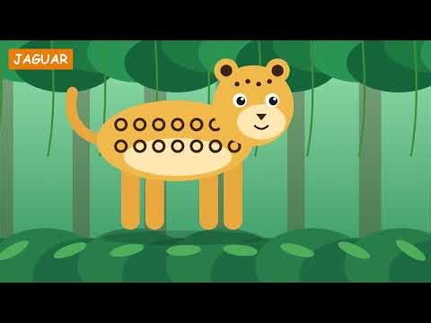 Amazon Rainforest Animals for Kids 🐆 Jaguar, Sloth & Poison Dart Frog | Wild World Explorers