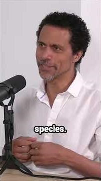 Did Neanderthals Speak? The Surprising Science of Language