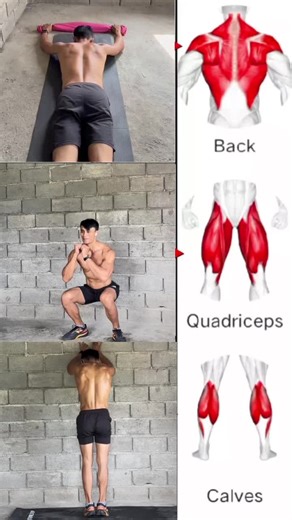 Best Home Workout Routine for Effective Fitness