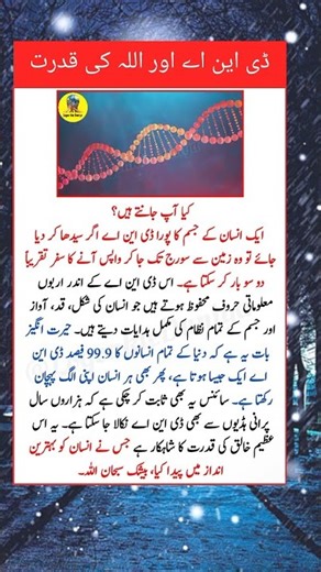 Human DNA Can Reach the Sun? Amazing Science Fact