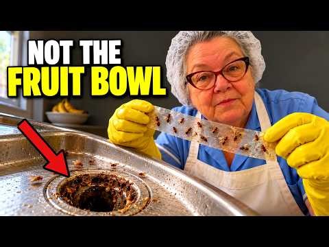 he Real Reason Fruit Flies Keep Coming Back (It's Hiding in Your Drain)