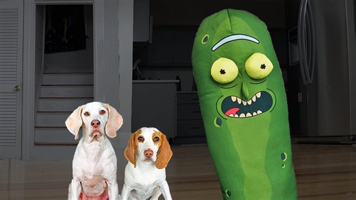 Beagles go up against giant zombie pickle from Rick and Morty