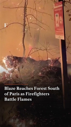 Blaze Reaches Forest South of Paris as Firefighters Battle Flames | Firstpost News | N18G