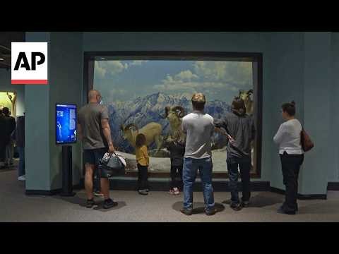 The oldest US natural history museum is closing