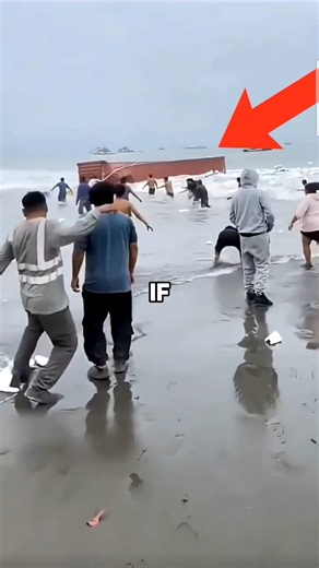 What Happens When Shipping Containers Fall Into The Sea?