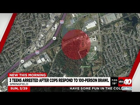 3 Springfield teens arrested after starting brawl