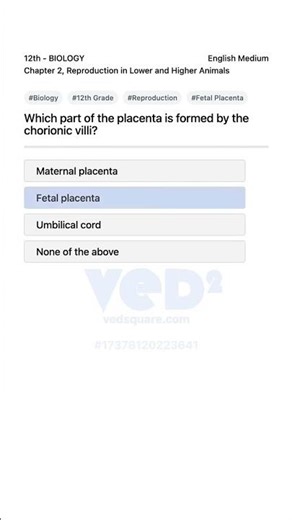 12th Biology Reproduction Fetal Placenta Formation