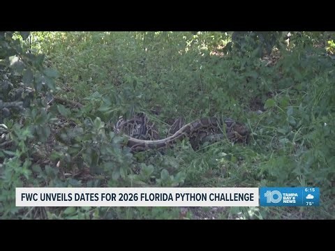 The Florida Wildlife Commission reveals details for the 2026 Python Challenge