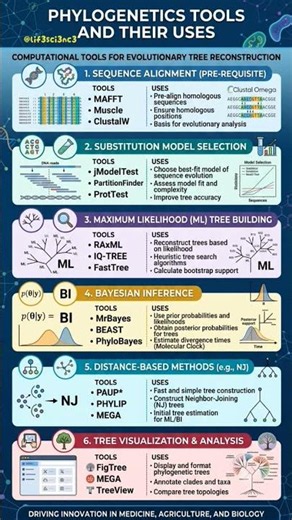 The Ultimate Guide to Evolutionary Tree Reconstruction! #Tools #shorts