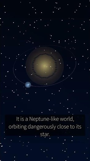 The Mirror Planet: LTT 9779 b