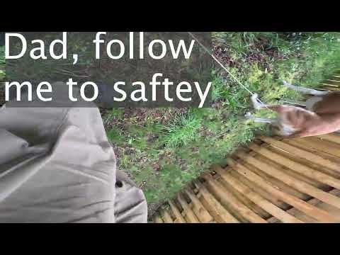 Oops! Tree Cutting Fails: GoPro Falls, I Fall Off Ladder, & Accidental 911 Call (No Harm Done) 😂🌲🚑