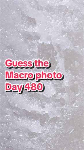 Day 480 of can you guess this macro photo! #macrophotography #photography