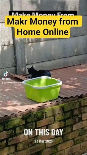 Make Money from Home Online... One year ago today... #onlinebusiness #makemoneyonline