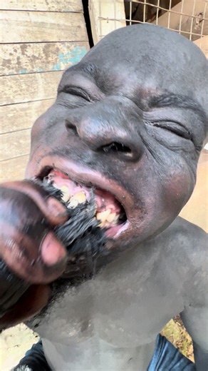 Good Morning Ahoufe: A Trending Video to Brighten Your Day 😁