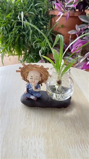 Flower plants in glass water so easy plants it grows #shorts #garden #plants #viralvideo