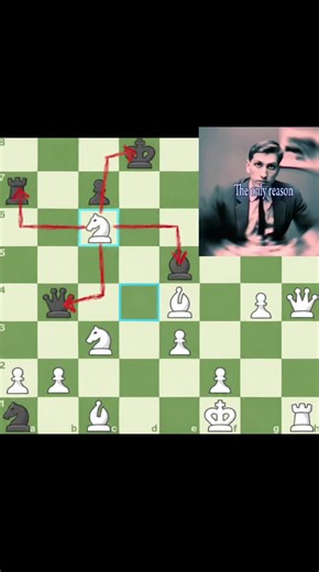 Magnus Carlsen chess highlights and beginner reactions