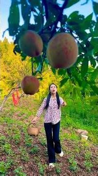 A story of a peach fruit 😱~ mini wood toy- woodworking art skill/wood hand #shorts #funnycomedy