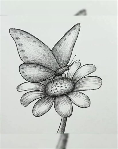 Butterfly Drawing Tutorial with Pencils