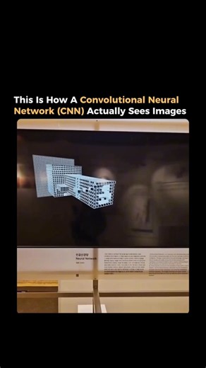 How A Convolutional Neural Network Works