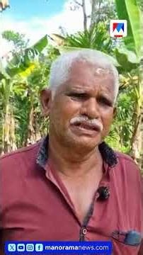 കല്ലേലിയില്‍ കാട്ടാനശല്യം രൂക്ഷം; ഭയന്നോടിയ തീർത്ഥാടകർ വനത്തിൽ കുടുങ്ങി ​| Konni