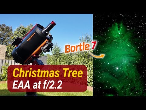 NGC 2264 (Christmas Tree Nebula) | C9.25 HyperStar EAA at f/2.2 from Bortle 7