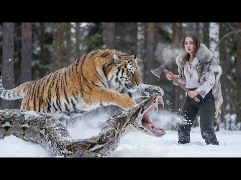 wild survival strong: giant python ambush — elena & siberian tiger fight for survival
