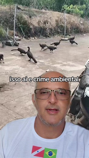 Ibama multa e pune quem alimenta animais silvestres