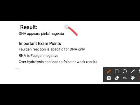 Demonstration of nuclic acid Detailed Explanation for Students