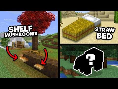 Camp Beds, Mushrooms & Other Secret Update Features!