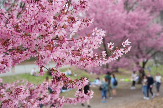 Is it spring? Official start of the season next week