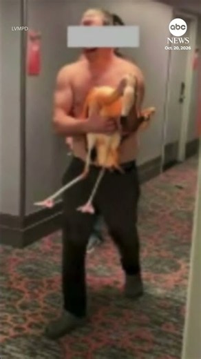 Man convicted of stealing flamingo from hotel